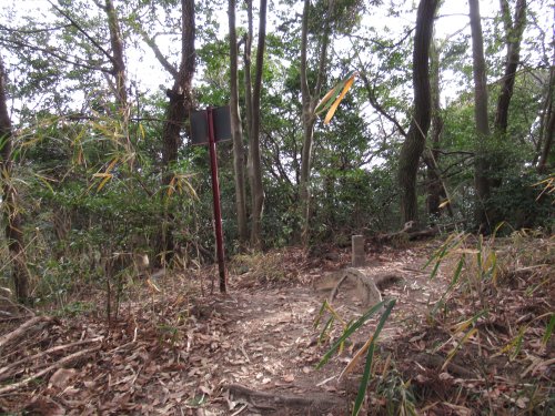登山道